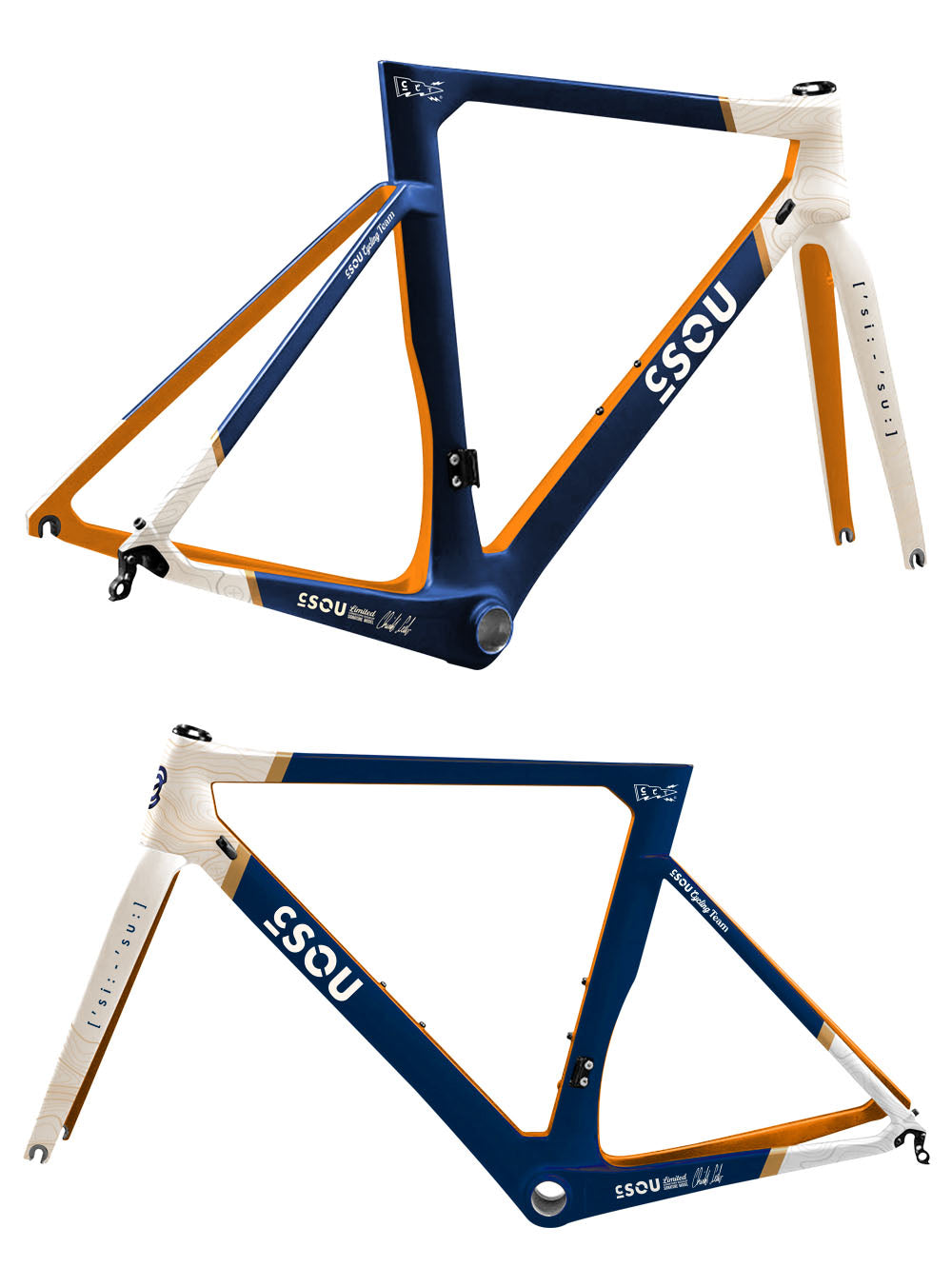CCT Team Edition Rennrad und Gravel Rahmendesign